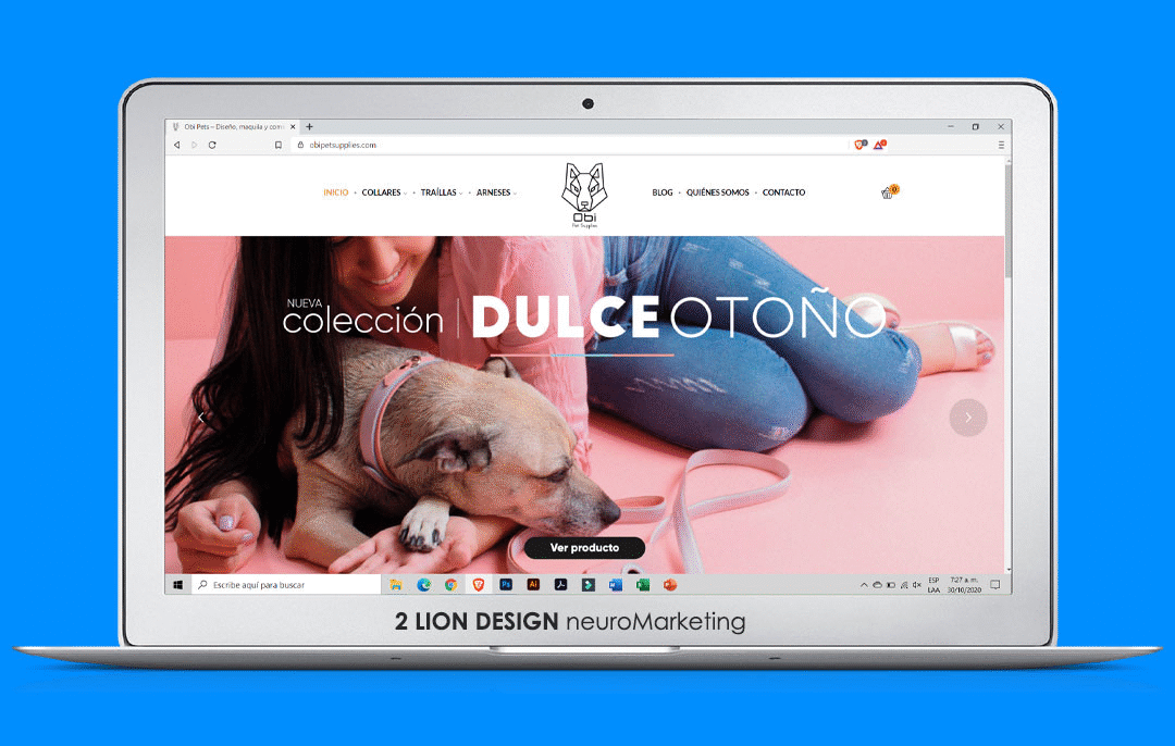 Diseño-de-paginas-web-cali-bogota-colombia-responsive-2liondesign-neuromarketing
