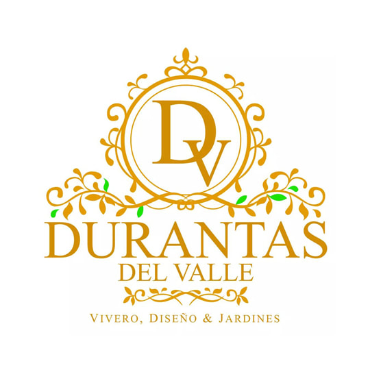 Diseño de logo Durantas del Valle Vivero
